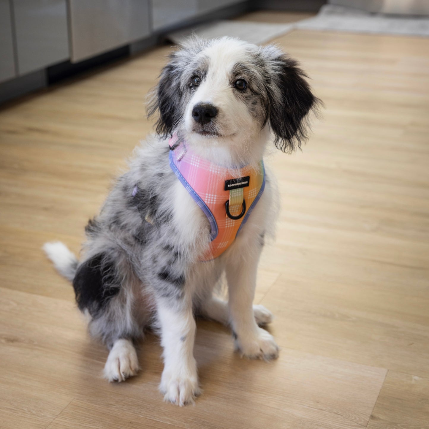 Coopmonsters Ānuenue Palaka Neoprene Harness