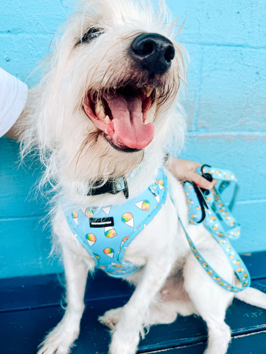 Shave Ice Neoprene Harness