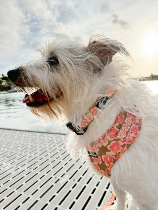 Hibiscus Collar