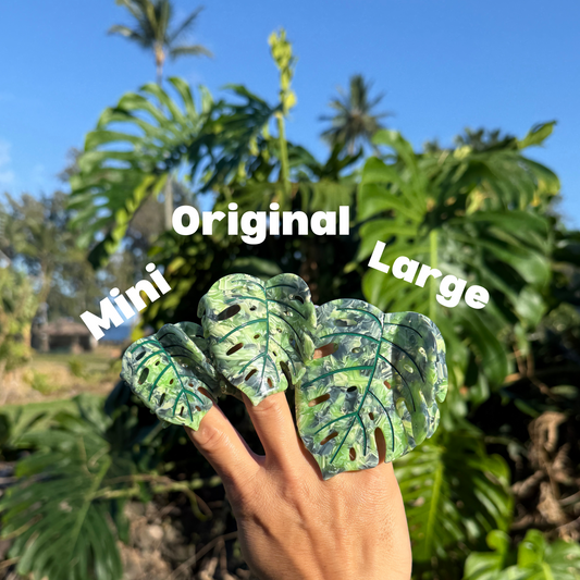 Coopmonsters Variegated Monstera Hair Claw