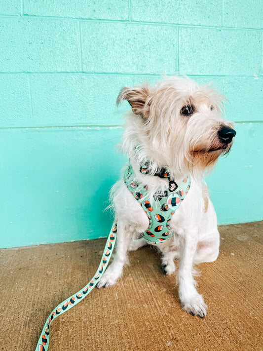 Spam Musubi Neoprene Harness