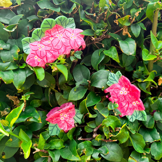 Candice Doodles x Coopmonsters Bougainvillea Hair Claws