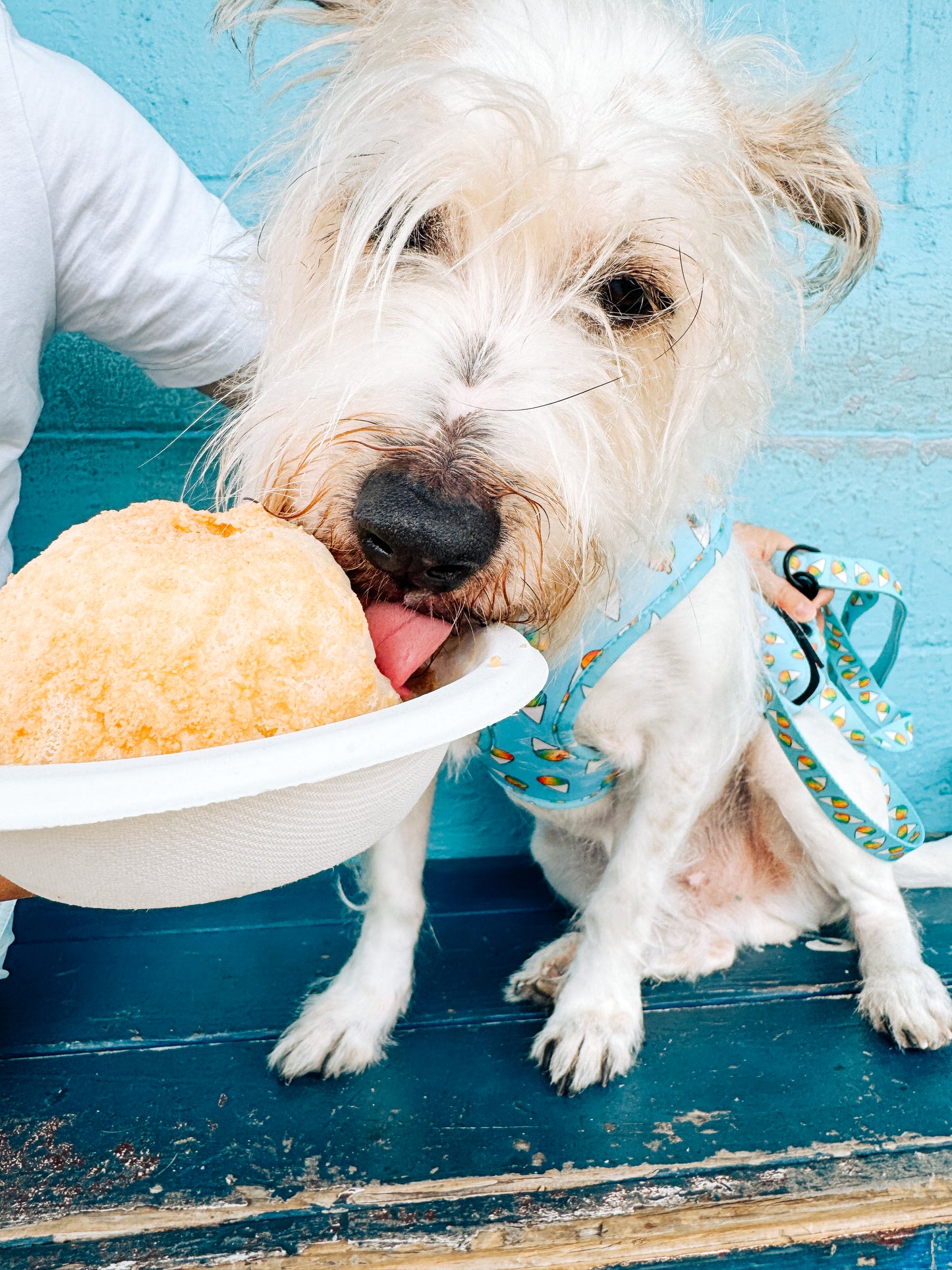 SALE!! Shave Ice Bundle