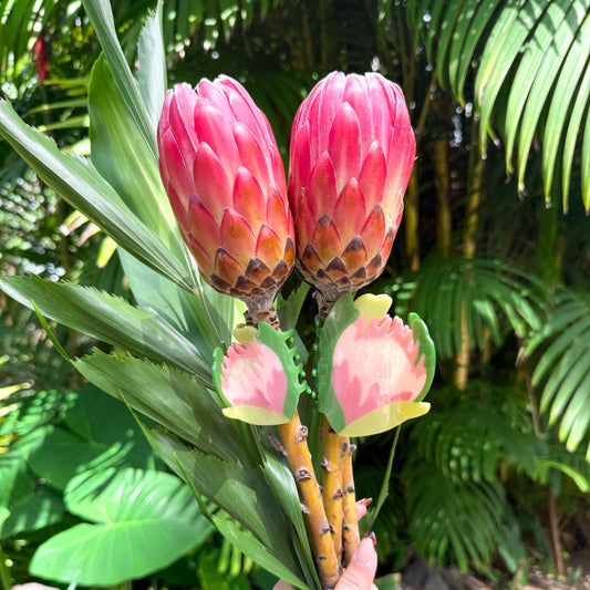 Bujo Bae x Coopmonsters Protea Hair Claw