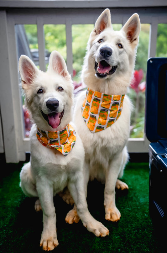 Hawaiian Sun Scrunch-Dana