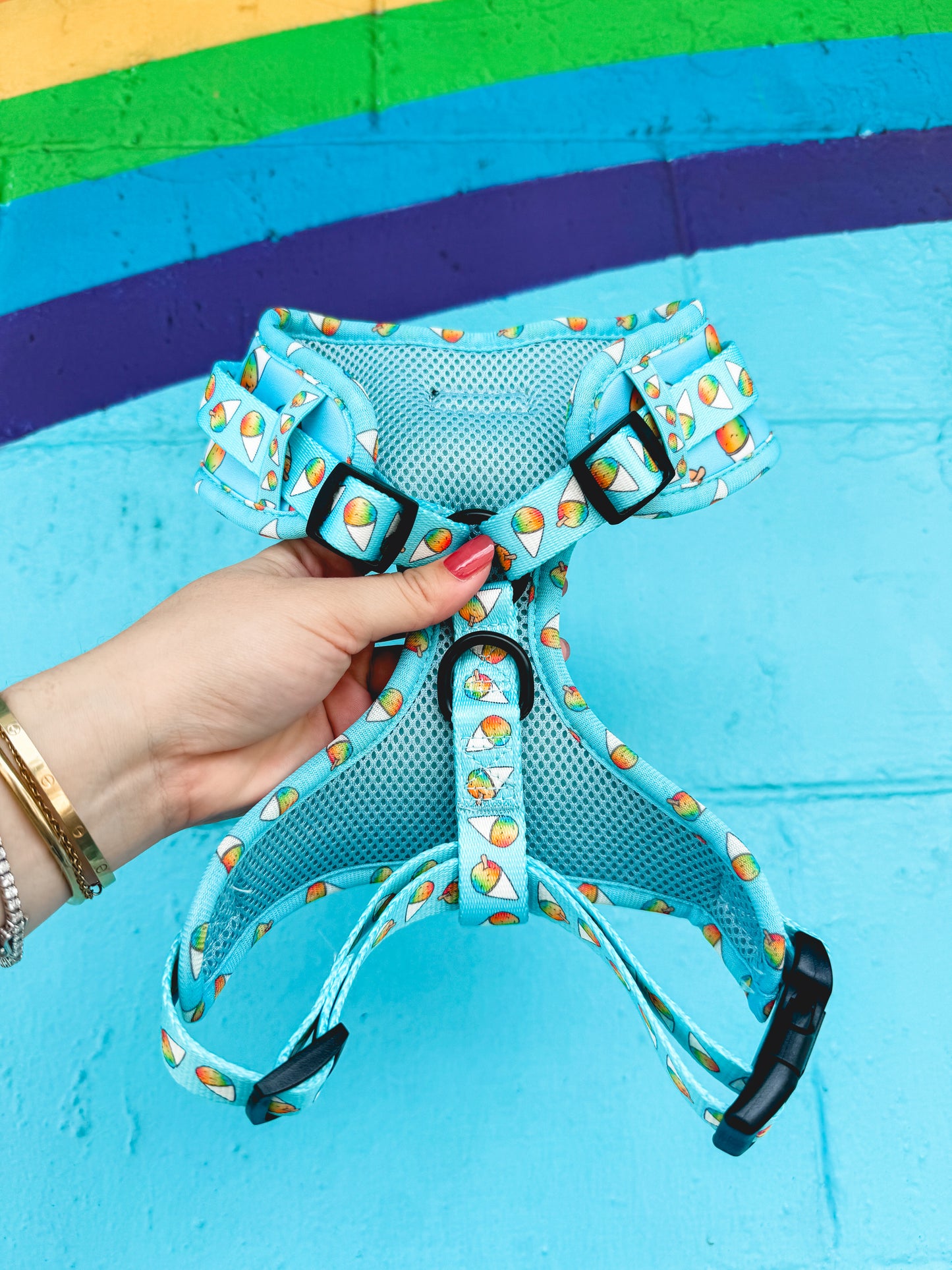 Shave Ice Neoprene Harness
