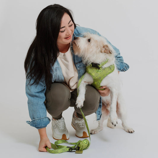 SALE!! Coopmonsters Olive Quilt Bundle with Poop Loop!