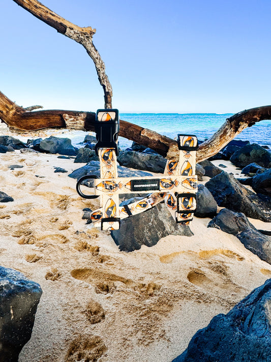 Humu H Style Harness