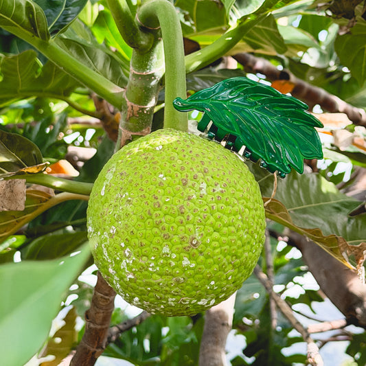 Sig Zane Designs x Coopmonsters Lau ʻUlu Hair Claw