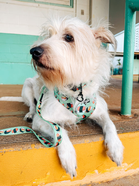 SALE!! Spam Musubi Bundle