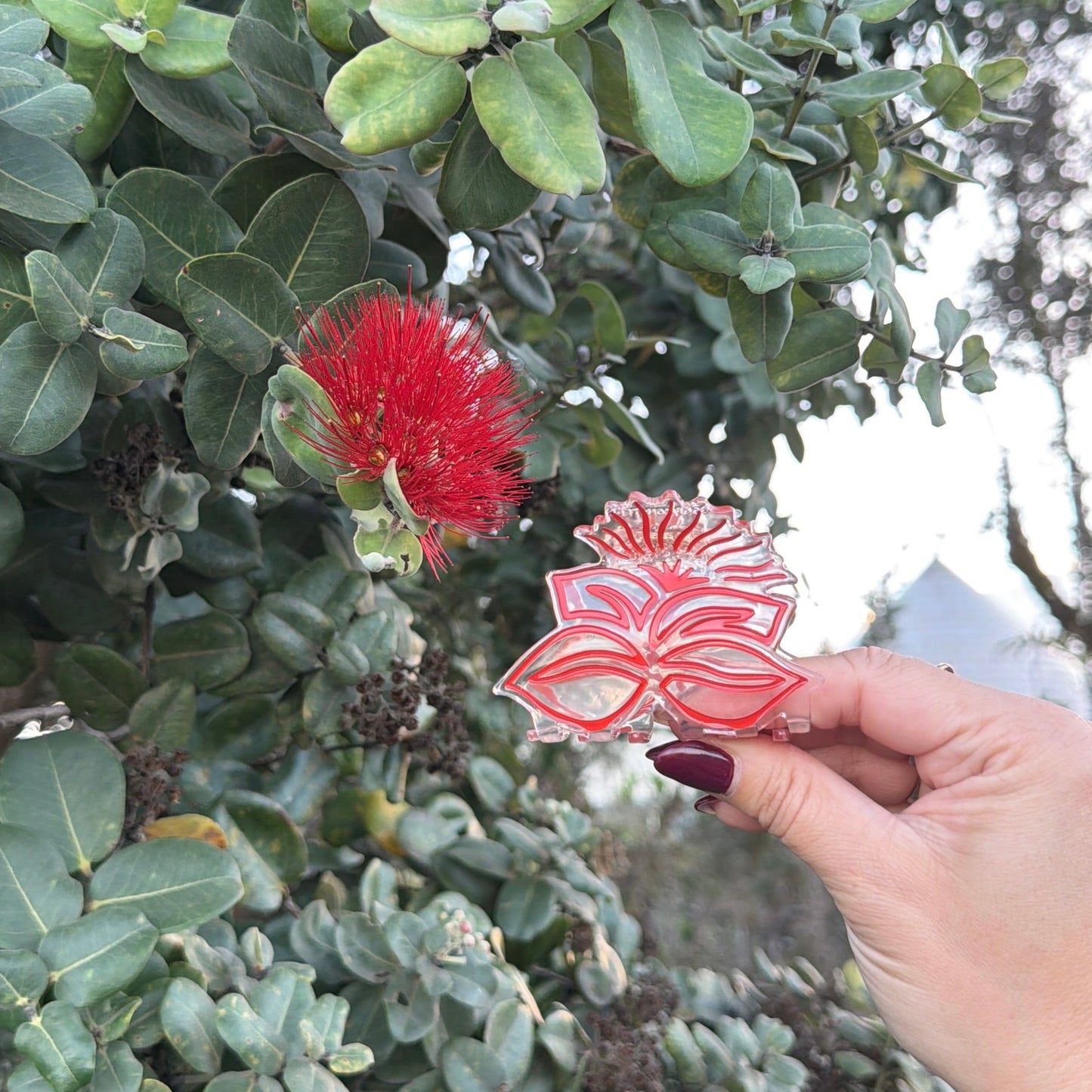 Sig Zane Designs x Coopmonsters Clear Lehua Mamo Hair Claw