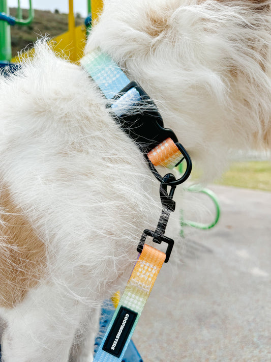 Ānuenue Rainbow Palaka Leash