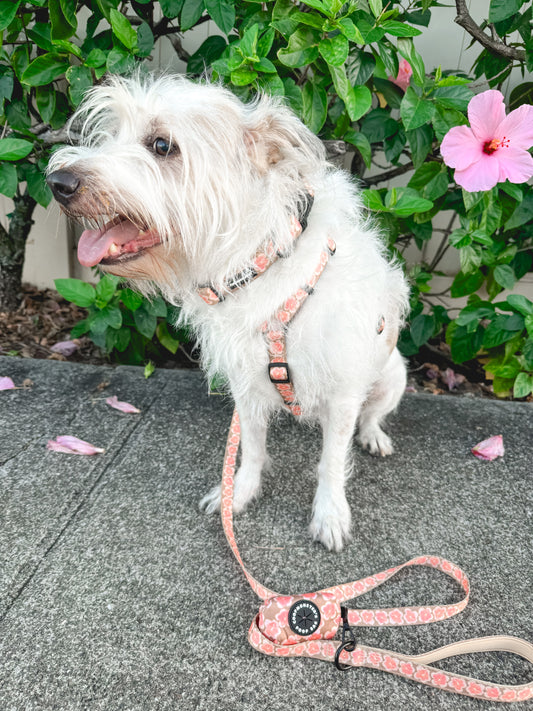 Hibiscus H Style Harness