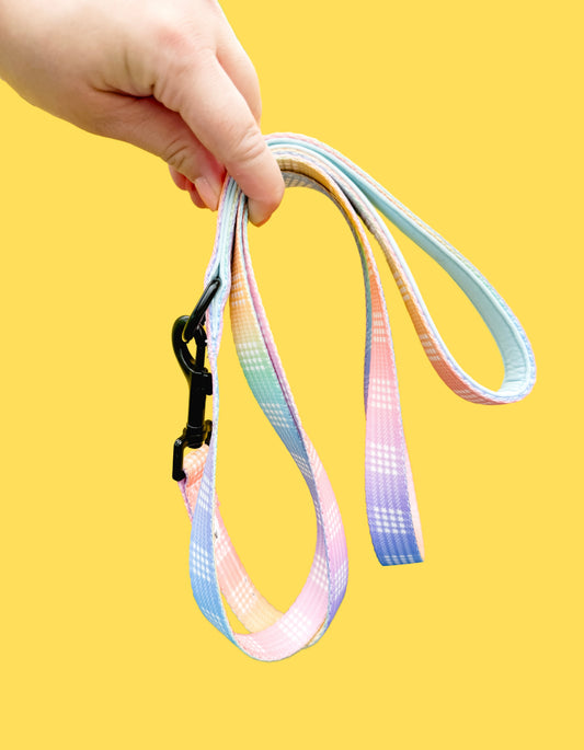 Ānuenue Rainbow Palaka Leash