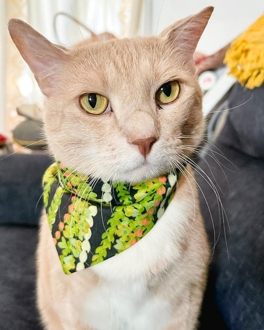 Pakalana Lei Scrunch-Dana