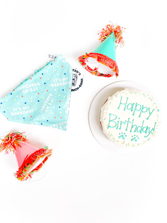 Birthday Bark-Dana Light Blue