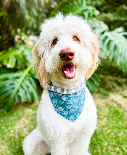 Blue Shaka Scrunch-Dana