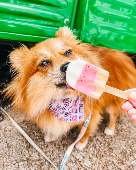 Vintage Hawaii Purple + Pink Scunch-Dana