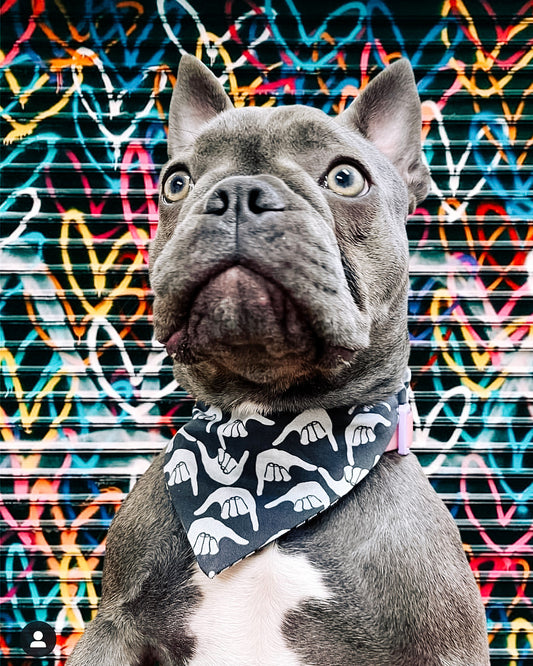 Black Shaka Scrunch-Dana