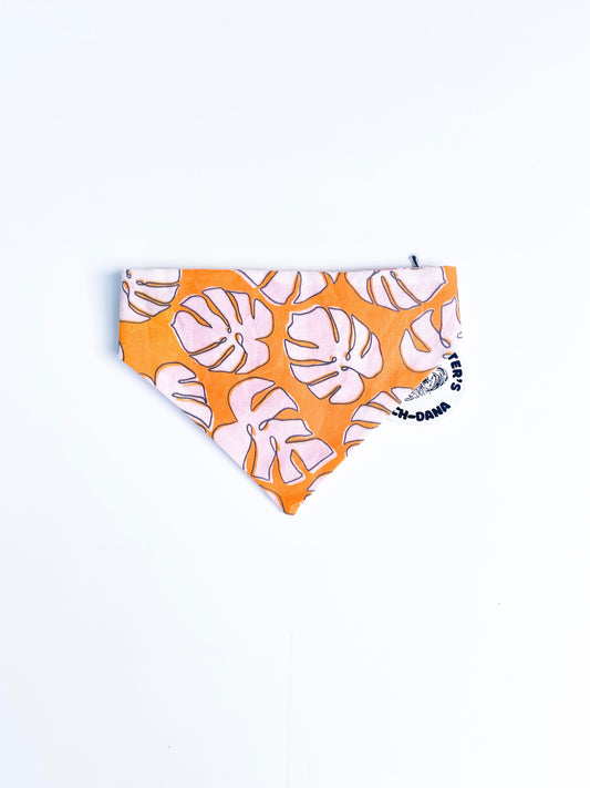 Monstera Orange Scrunch-Dana