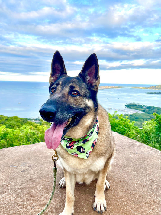 Spam Musubi Mint Scrunch-Dana