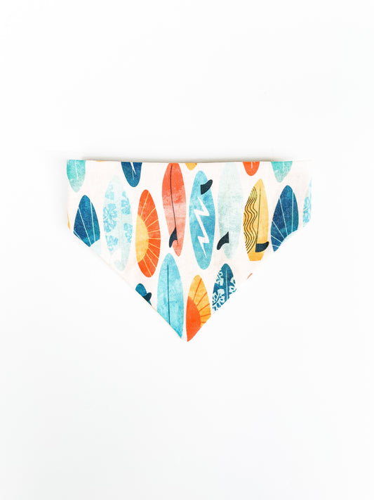 Surfboards Scrunch-Dana