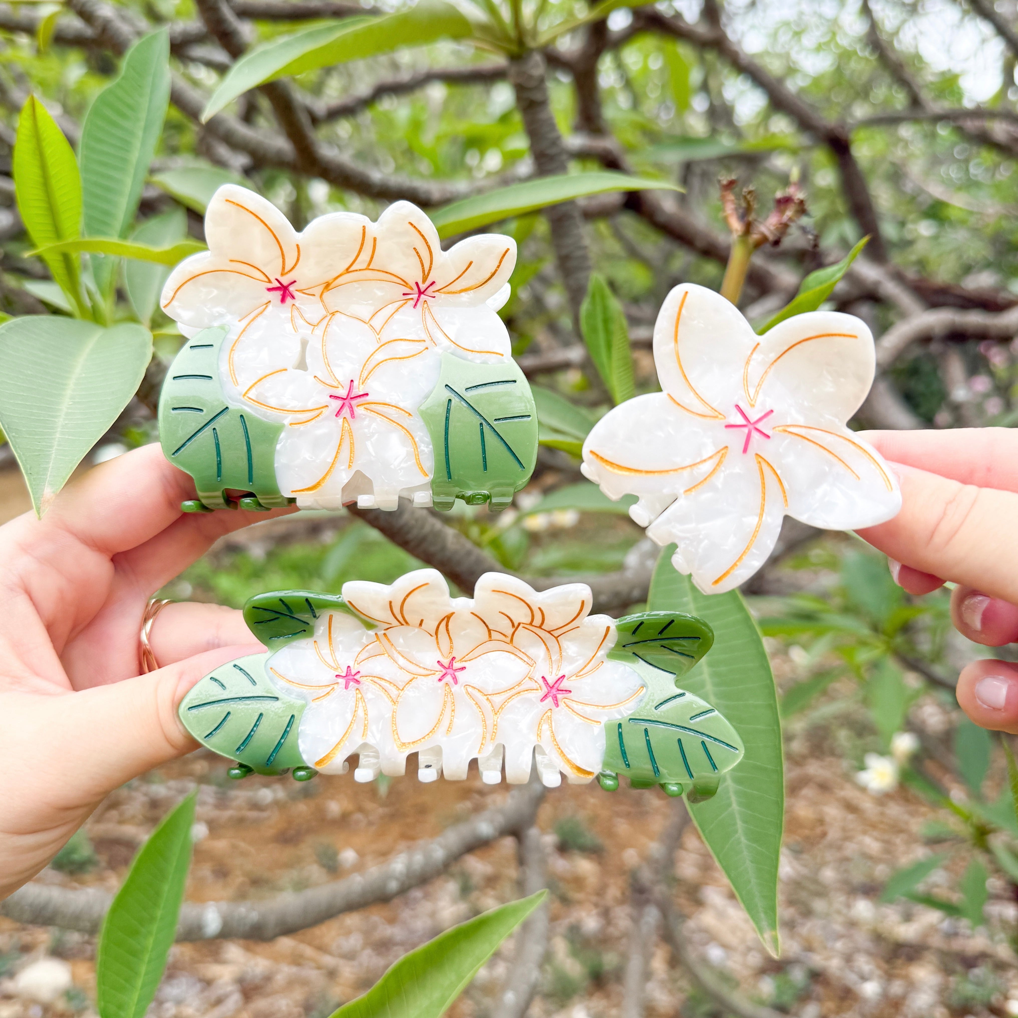 Plumeria♡ 46FFFCC0-18FF-412A-985C-