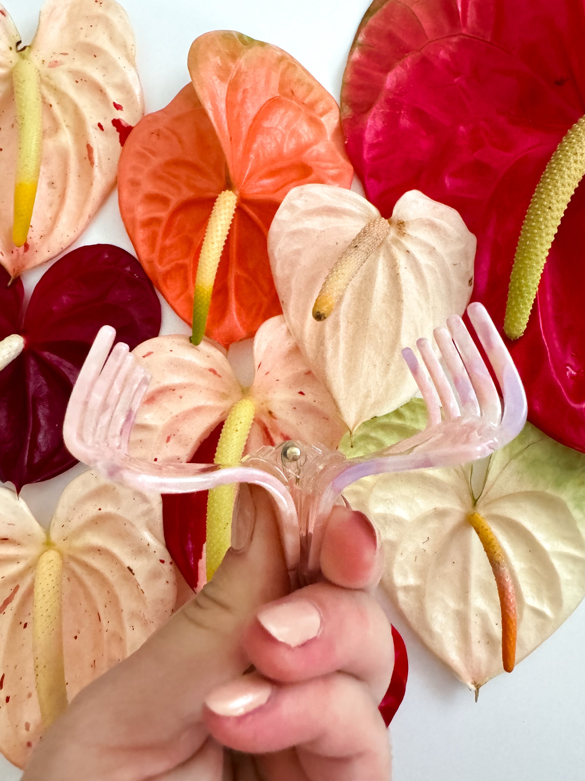 anthurium hair clip Coopmonsters Pink Anthurium Hair Claw