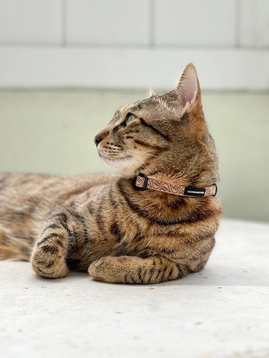 Shaka Cat Collar