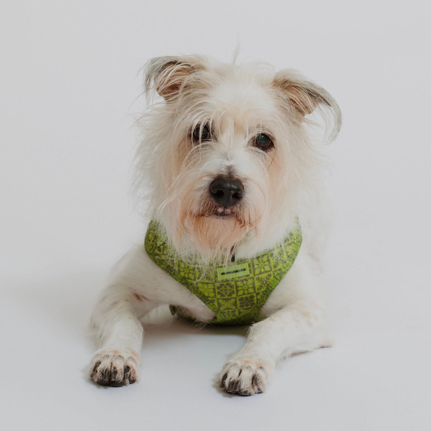 SALE!! Coopmonsters Olive Quilt Bundle with Poop Loop!