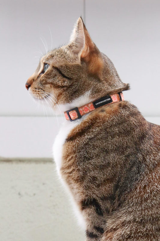 Hibiscus Cat Collar