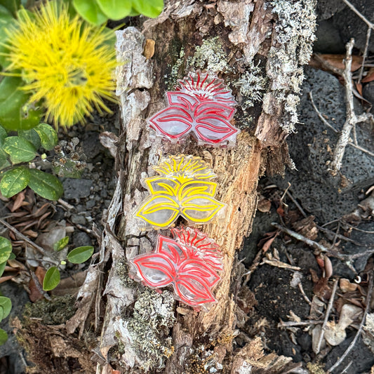 Sig Zane Designs x Coopmonsters Clear Lehua Mamo Hair Claw