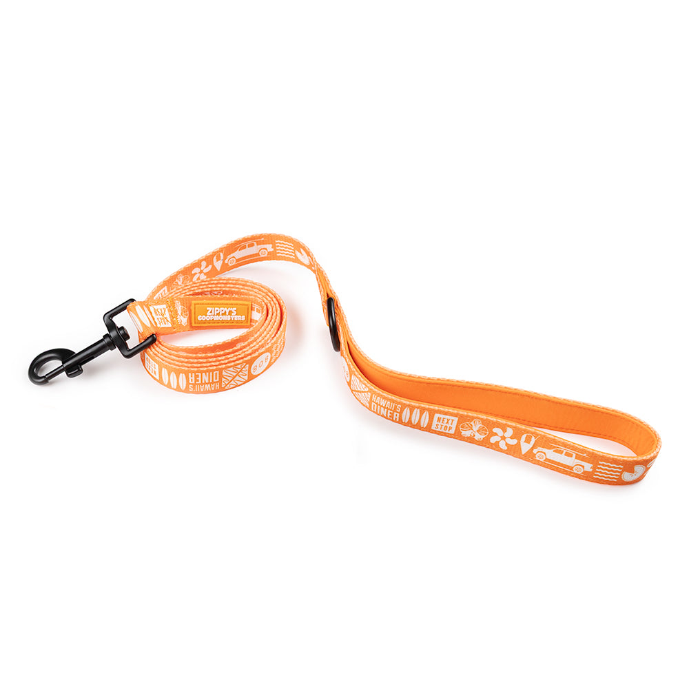 Zippy’s + Coopmonsters Leash