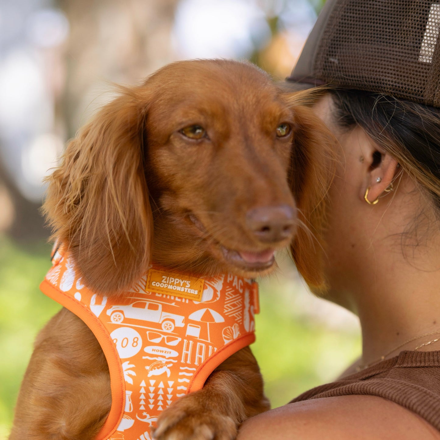 Zippy’s + Coopmonsters Neoprene Harness