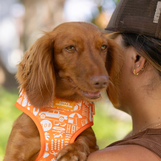 Zippy’s + Coopmonsters Neoprene Harness