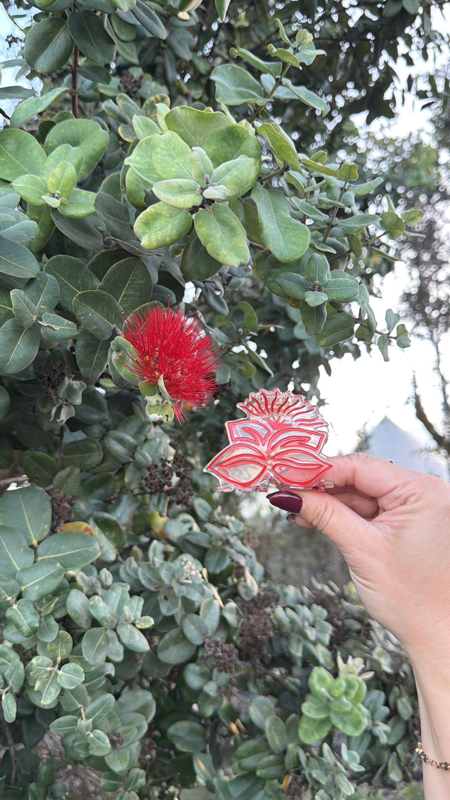 Sig Zane Designs x Coopmonsters Clear Lehua Mamo Hair Claw