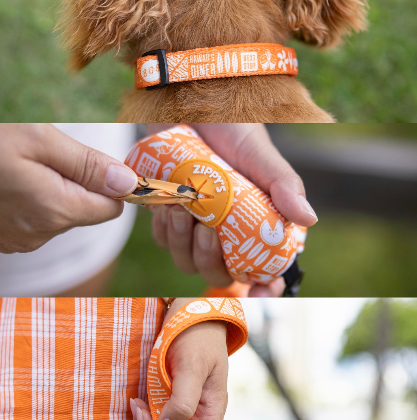 SALE!! ZIPPY’S + COOPMONSTERS Bundle