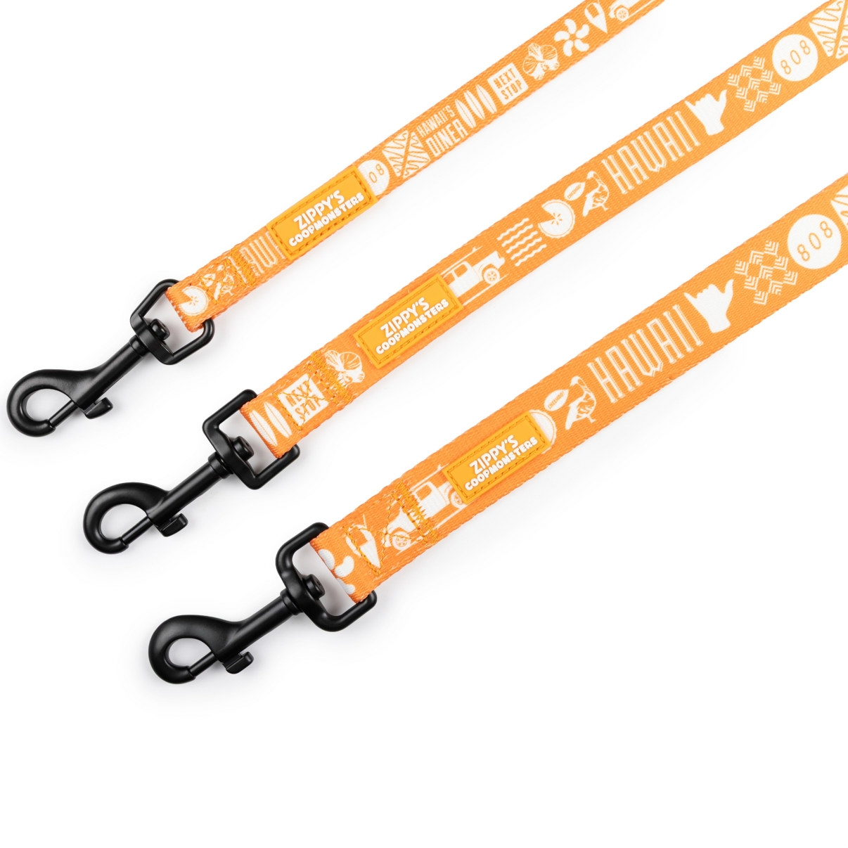 Zippy’s + Coopmonsters Leash