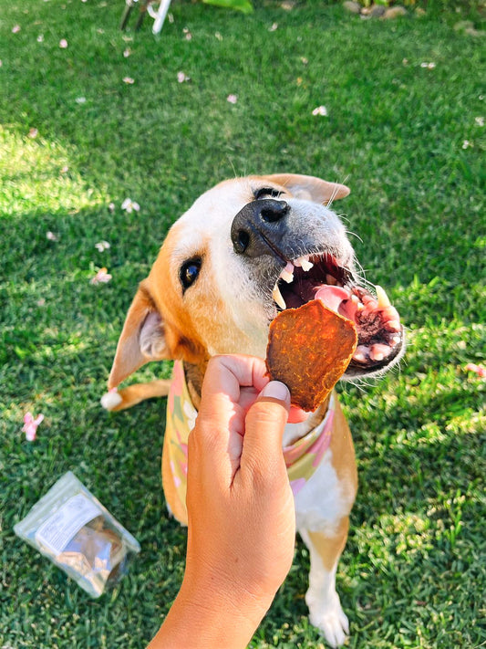 PRE-ORDER Turkey Patties