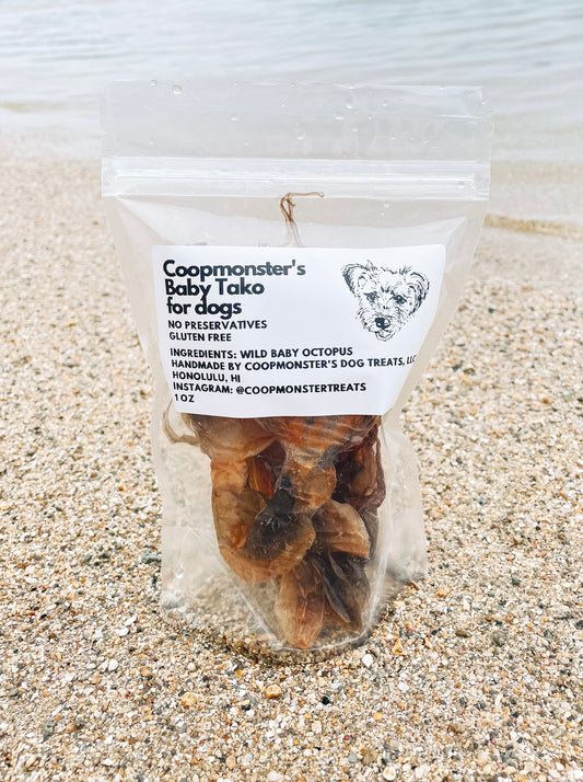 Wild Baby Tako (Octopus)